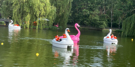 Tretboot-Safari