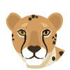 Portrait vom Gepard